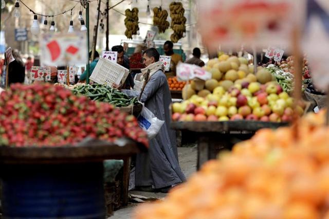 Egypt’s food industries contribute 24.5% of GDP