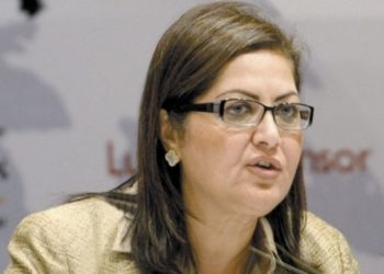 Egypt’s total public investments record LE175B in 2018/2019 H1: minister