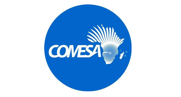 Trade exchange between Egypt, COMESA states hit $2.31bn in 2018