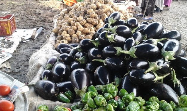 Egypt’s agricultural exports rise to 4.6mn tons