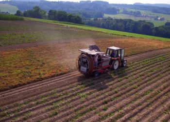 Egypt’s agricultural exports exceed 4.8 mn tons