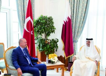 Qatar, Turkey to fully utilize partnership potential