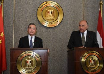 Egypt, China highlight cooperation in Belt and Road Initiative