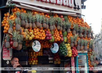 EAEU, Egypt to step up FTA talks