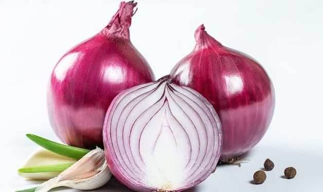 Egypt ranks third in exports of dried onion