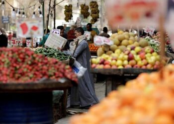 Egypt’s food industries contribute 24.5% of GDP