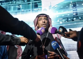 Saudi Arabia seeks $20 bln investment in food industry, aims to double exports