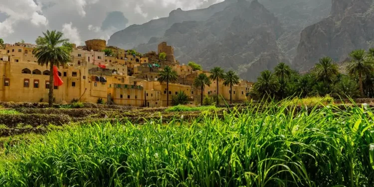 $890M to Transform Agriculture and Fisheries In Oman
