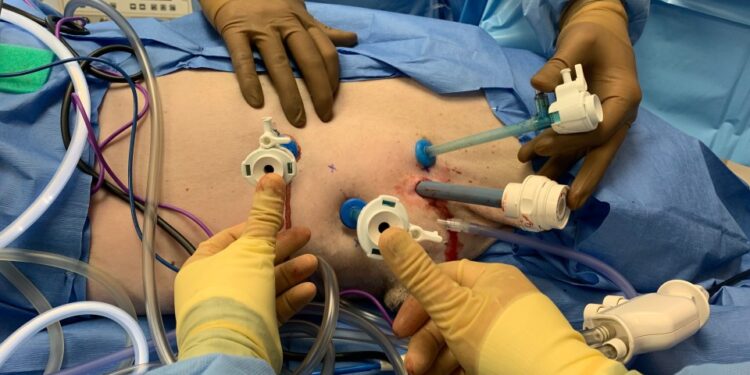 Qatar’s Laparoscopic Gynecological Market on the Rise: Projected to Hit $114.8 Million by 2030