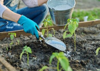 Organic Fertilizers Market Expected to Reach $15.7 Billion by 2030, Driven by Growing Sustainability Initiatives