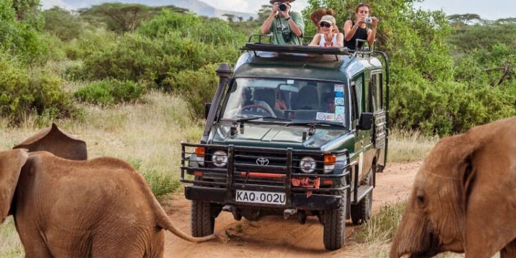 Overview of the Global Wildlife Tourism Market
