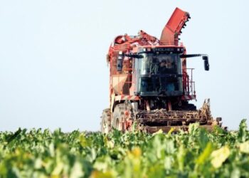 Global Agrochemicals Market to Reach $282.2 Billion by 2028, Driven by Rising Food Demand and Agricultural Advancements