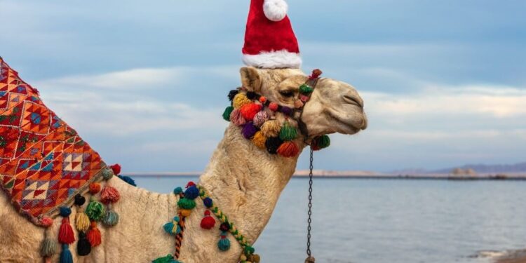 Egypt Tops Africa in Tourism Revenue with $14 Billion