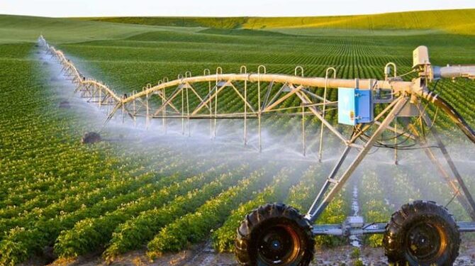 Strategic Food Security Investments in the GCC