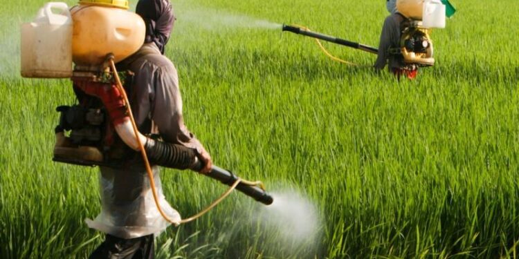 Crop Protection Chemicals Market to Reach $101 Billion by 2029, Driven by Rising Food Demand and Climate Challenges