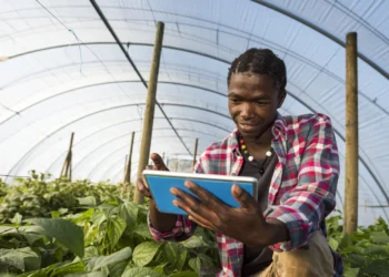 Africa’s Agricultural Transformation: Addressing Food Security and Sustainability