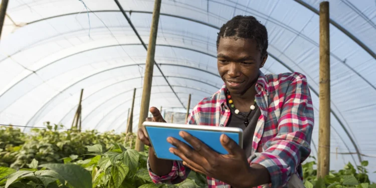 Africa’s Agricultural Transformation: Addressing Food Security and Sustainability