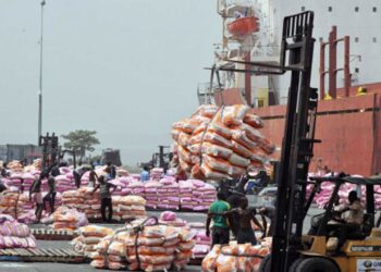 AFC: Africa Spends $50 Billion Annually on Food Imports