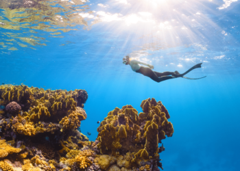 GCC Aims for $188 Billion in Tourism Spending as Visitor Numbers Surge