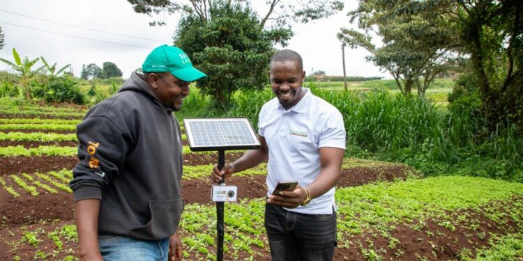 Smart Farming, Stronger Trade: The Role of Digital Tools in Africa’s Agricultural Growth