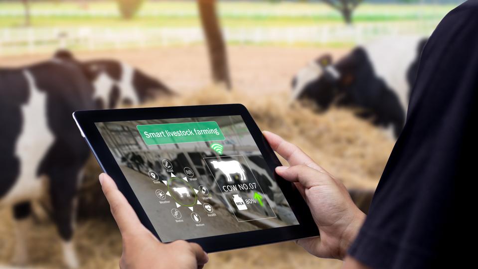 How Startups Are Redefining Food Security in the Middle East