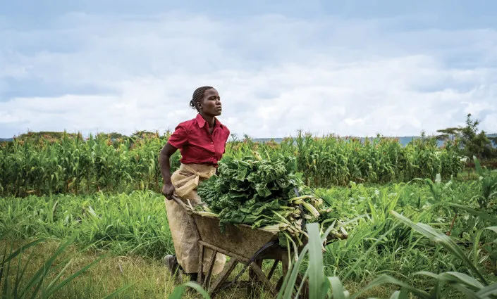 Young African Innovators Harness AI for Agrifood Transformation