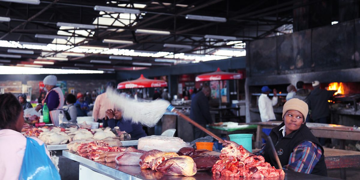 Africa Meat Market Poised to Reach USD 108.2 Billion by 2033 | Growth Driven by Urbanization, Youth Demographics, and Poultry Expansion