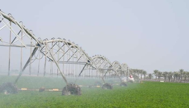 Oman Launches Plantation Drive to Strengthen Food Security